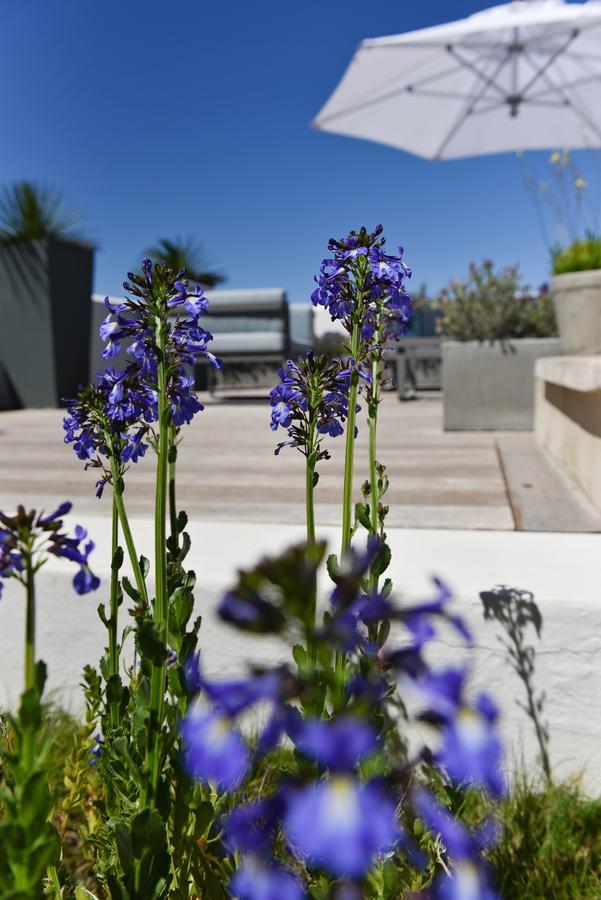 Vilacqua Boutique Guest Villa Plettenbergbaai Buitenkant foto